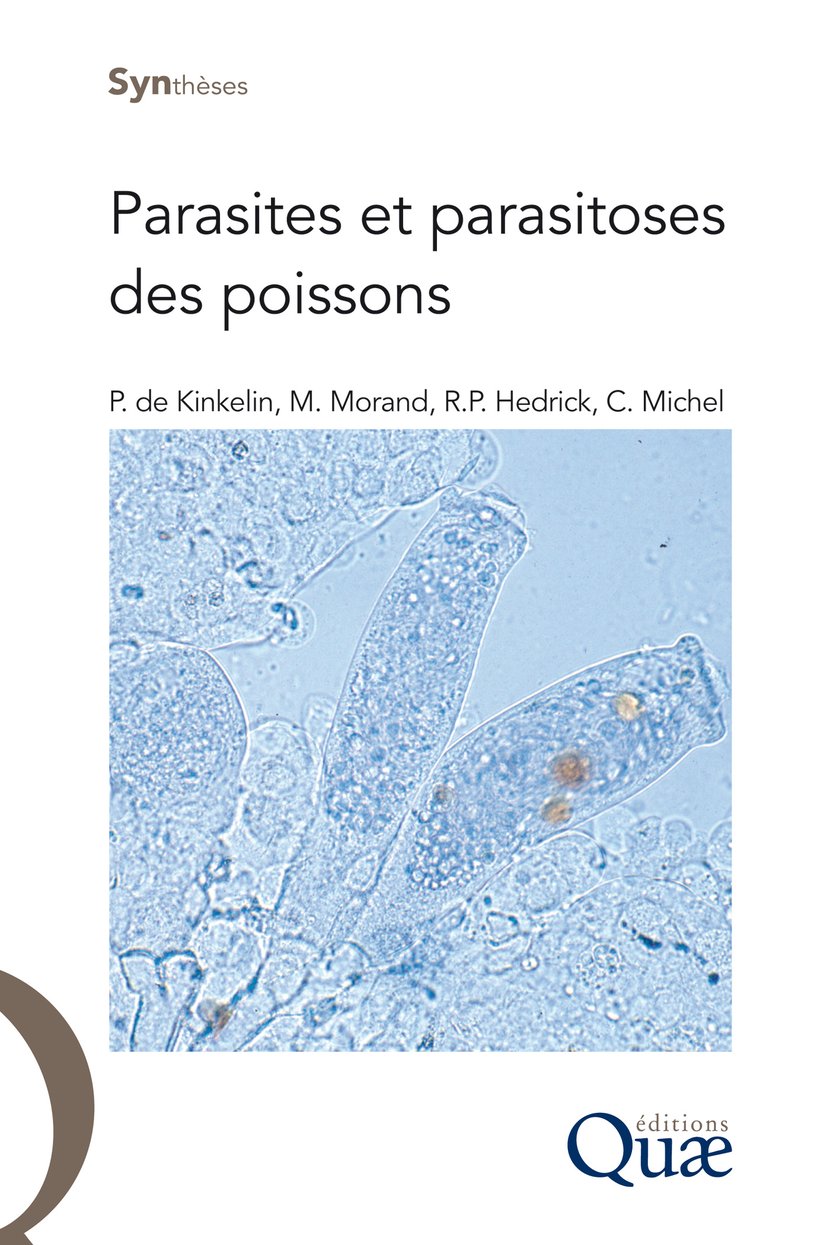 media/pim/74_metadata-image-3276863.png