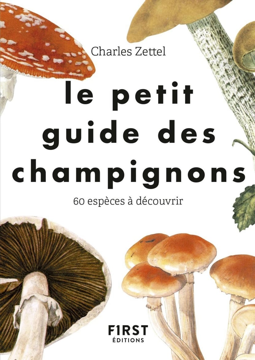 Le Petit guide des champignons - 60 espèces à découvrir : Charles  Zettel,Theodor Svarc - 9782412050170 - Ebook sur la Nature - Ebook Maison &  Famille - Ebook Vie pratique