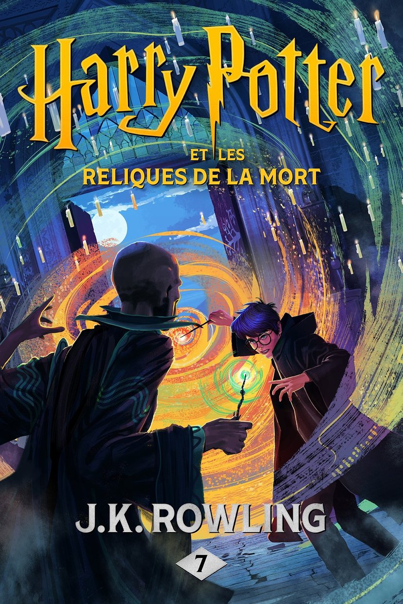 Impression d'art Harry Potter - Les Reliques de la Mort