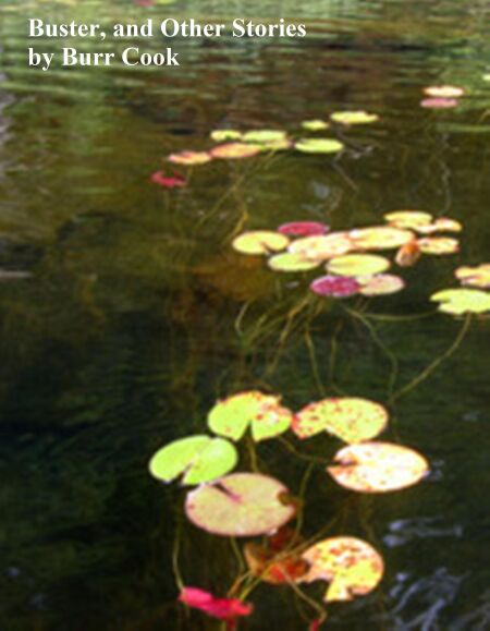media/pim/76_3d383b3a-ba70-4891-9c98-248f705eb217.jpeg