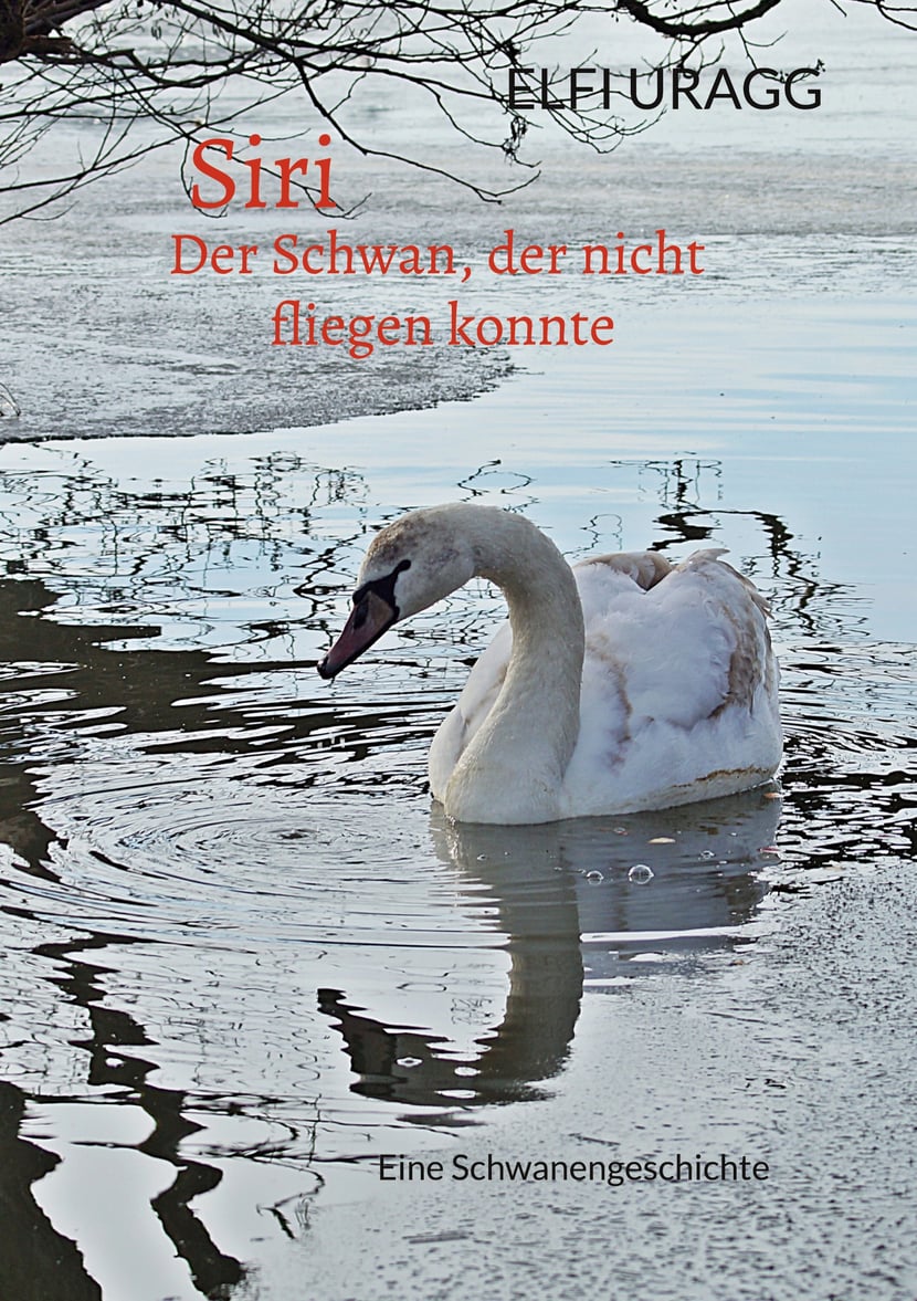 media/pim/76_metadata-image-68967273.jpeg