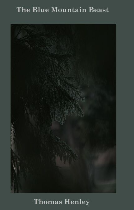 media/pim/77_45b6a2b7-1ee8-465e-9d31-de615c6b8503.jpeg