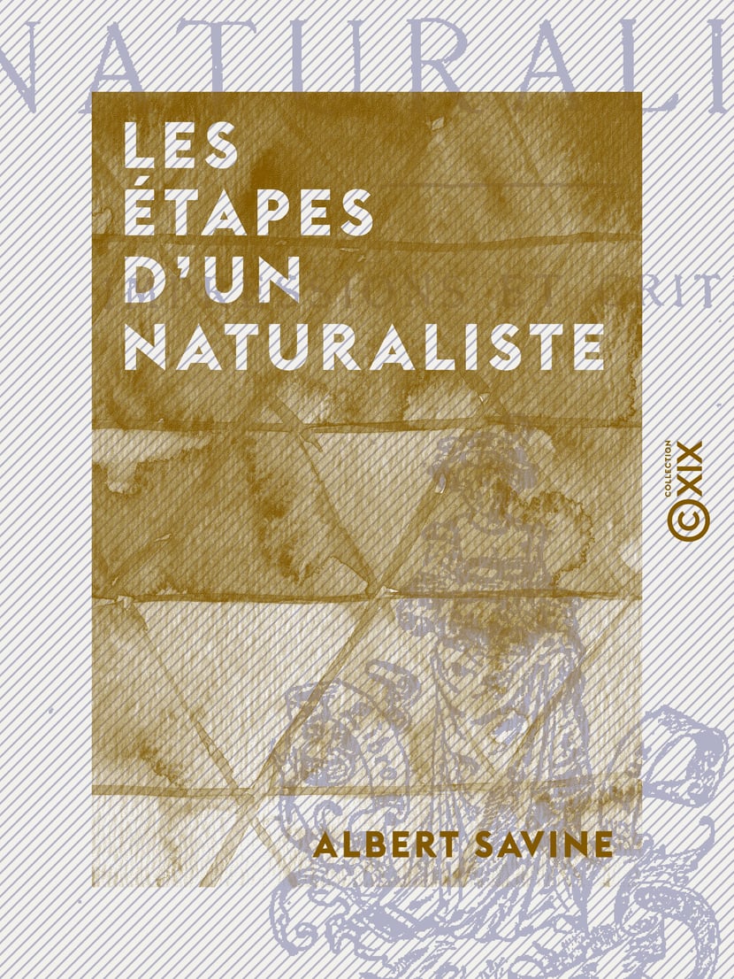 media/pim/77_metadata-image-12632238.png