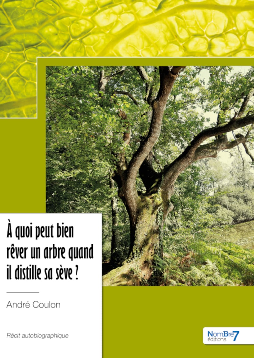 media/pim/77_metadata-image-73504267.png