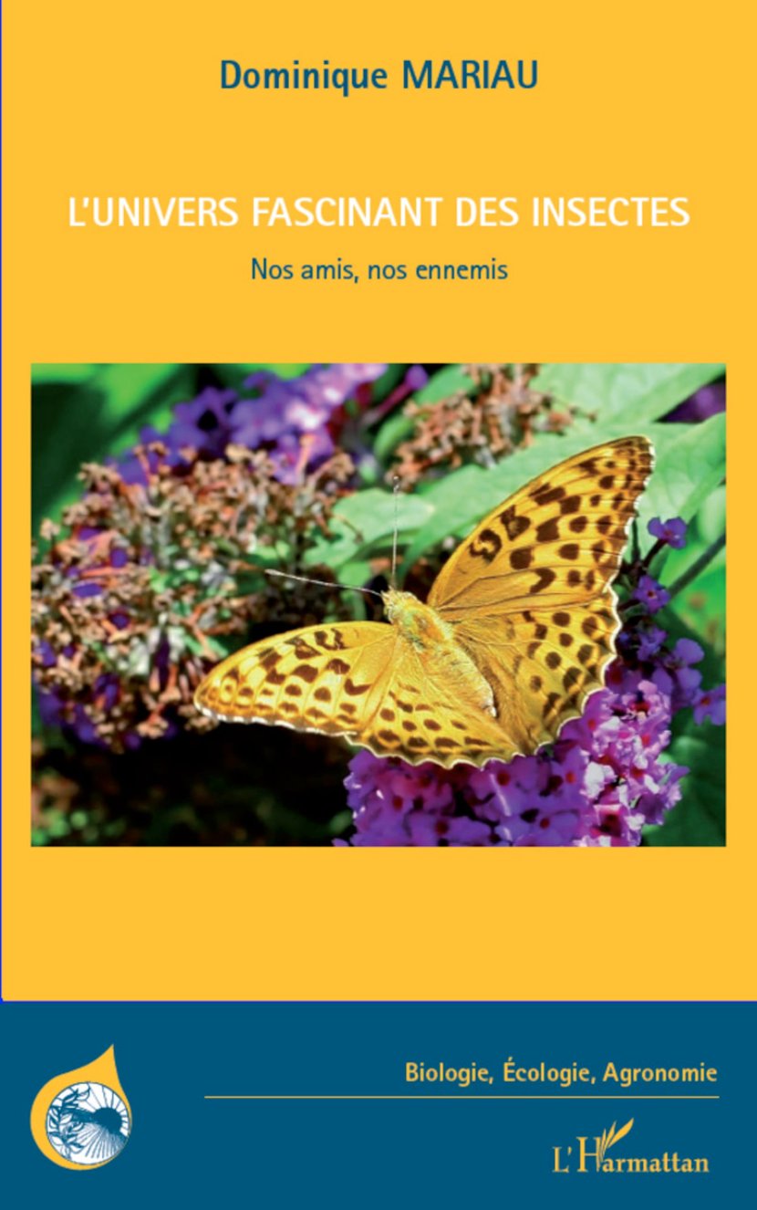 media/pim/77_metadata-image-8090302.jpeg