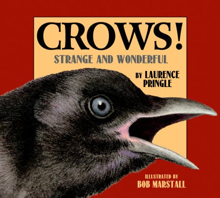 media/pim/78_e47b74f5-faae-46a5-8fc7-ed7edba9d8ce.jpeg