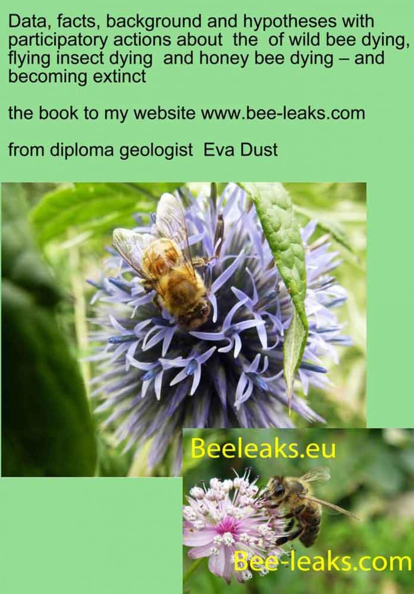 media/pim/78_metadata-image-66600834.jpeg