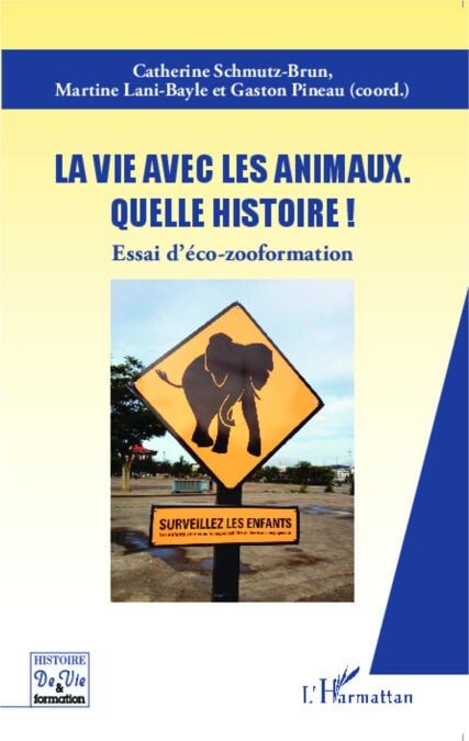 media/pim/78_metadata-image-8075735.jpeg