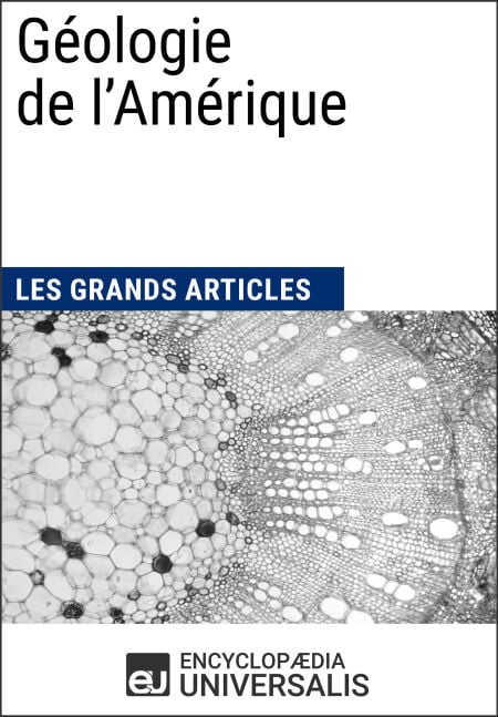 media/pim/79_38cecfbe-2be5-47f7-9b4e-1734927d0c3c.jpeg