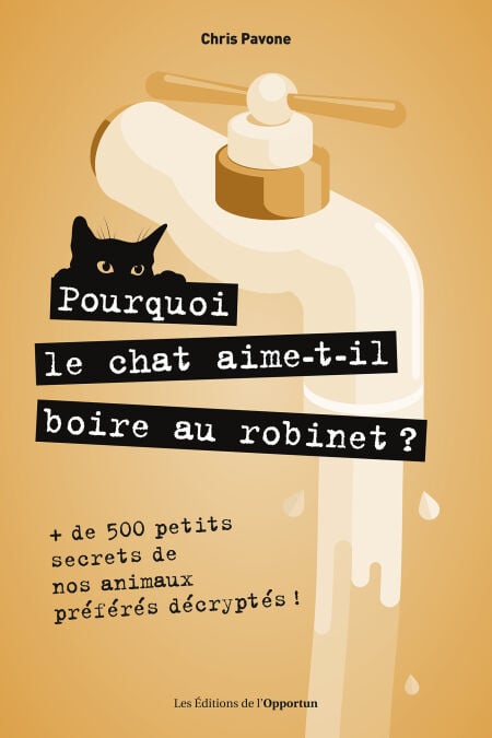 media/pim/79_73ceb326-5f2f-4540-bb03-058858a80fe0.jpeg