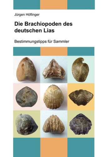 media/pim/79_metadata-image-37220763.jpeg
