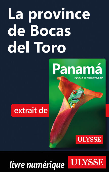 media/pim/7_1aae2362-6564-4ff5-b32c-128ec2da4823.jpeg