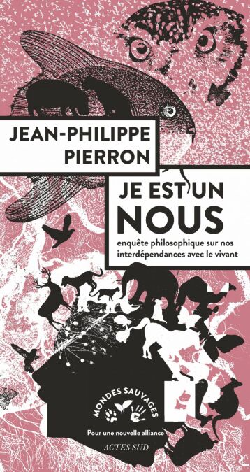 media/pim/7_33bce47a-5d95-4bd4-a6a4-02e0e2863403.jpeg