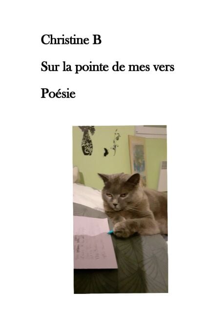 media/pim/7_3a3361c2-4633-4666-b374-1babe464c200.jpeg
