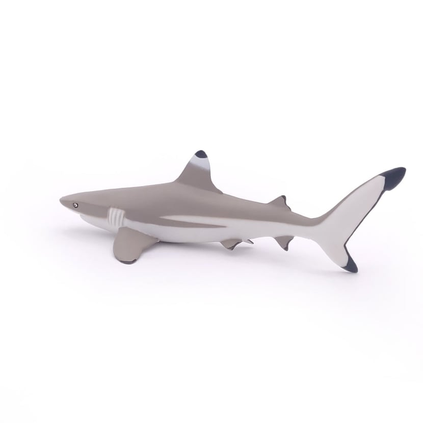 Figurine Requin à pointes noires - Papo - Figurines Animaux Marins