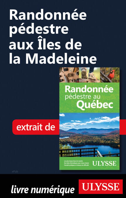 media/pim/7_6d452a91-9603-478f-9c39-cabb3ff2226b.jpeg