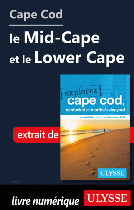 media/pim/7_7dd67d7b-b442-4c11-9124-52e5cf0ee783.jpeg