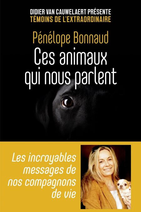 media/pim/7_8238827f-d733-4f03-bb7a-e129eb9a84ff.jpeg