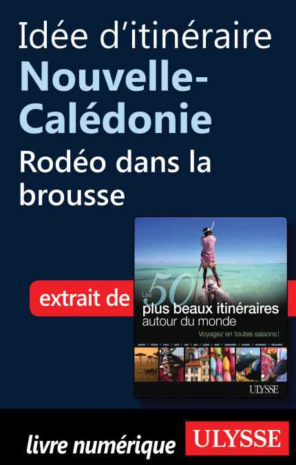media/pim/7_bed4766c-2038-42ef-a09c-257bb6d90863.jpeg