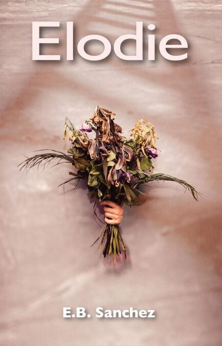 media/pim/7_dd583db6-71f3-464b-82eb-adff9179ef8f.jpeg
