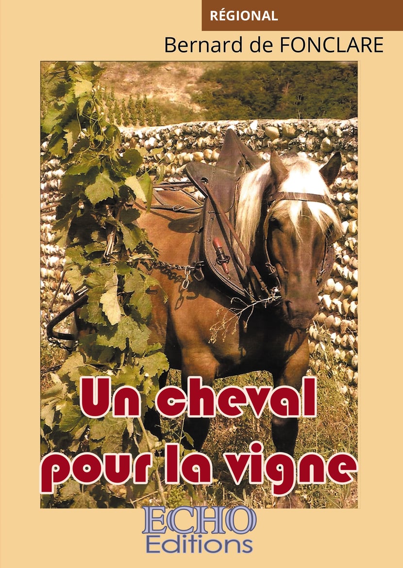 media/pim/7_metadata-image-40881039.png