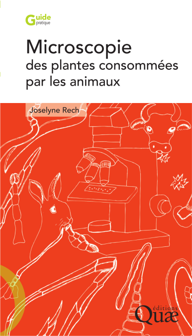 media/pim/7_metadata-image-621717.png