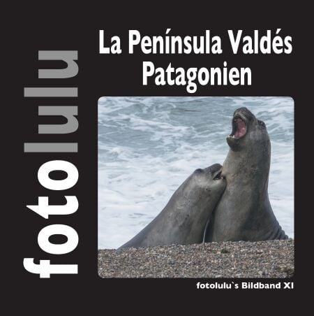 media/pim/7_metadata-image-70969429.jpeg