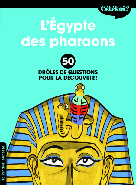 media/pim/80_33400d15-4942-466a-adca-47994e5ca2af.jpeg