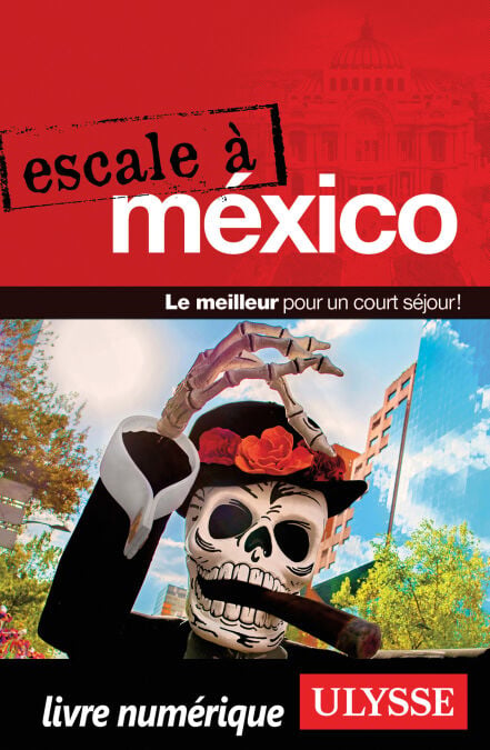 media/pim/80_7b47f575-04a1-409b-9bf3-a71ba164c574.jpeg