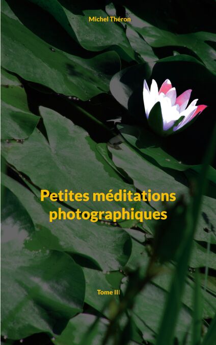 media/pim/80_metadata-image-61628068.jpeg