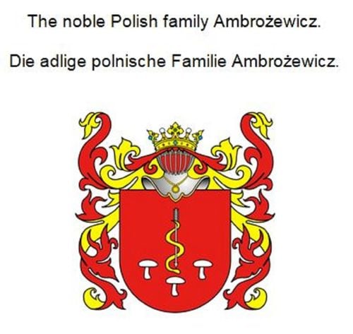 media/pim/80_metadata-image-61940120.jpeg