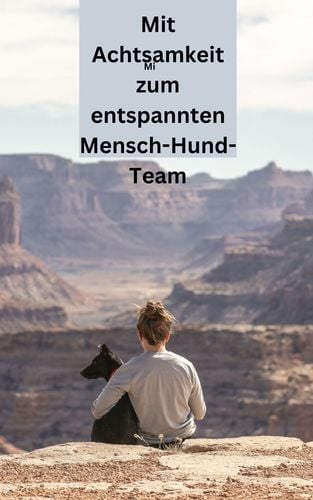 media/pim/80_metadata-image-66279970.jpeg