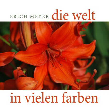media/pim/80_metadata-image-70967552.jpeg