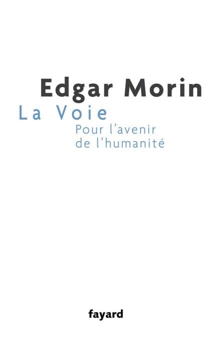 media/pim/81_38bdf7a5-98ae-4308-bc04-6fd1bd4d5318.jpeg