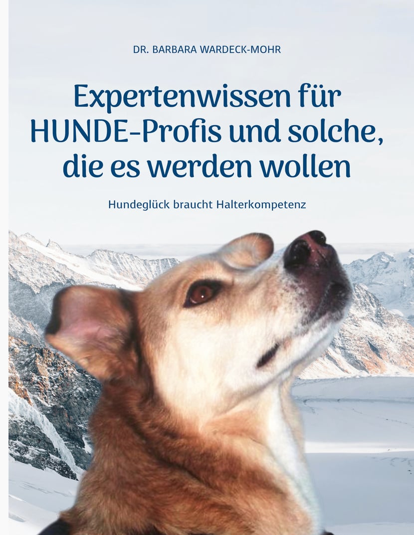 media/pim/81_metadata-image-51588020.jpeg