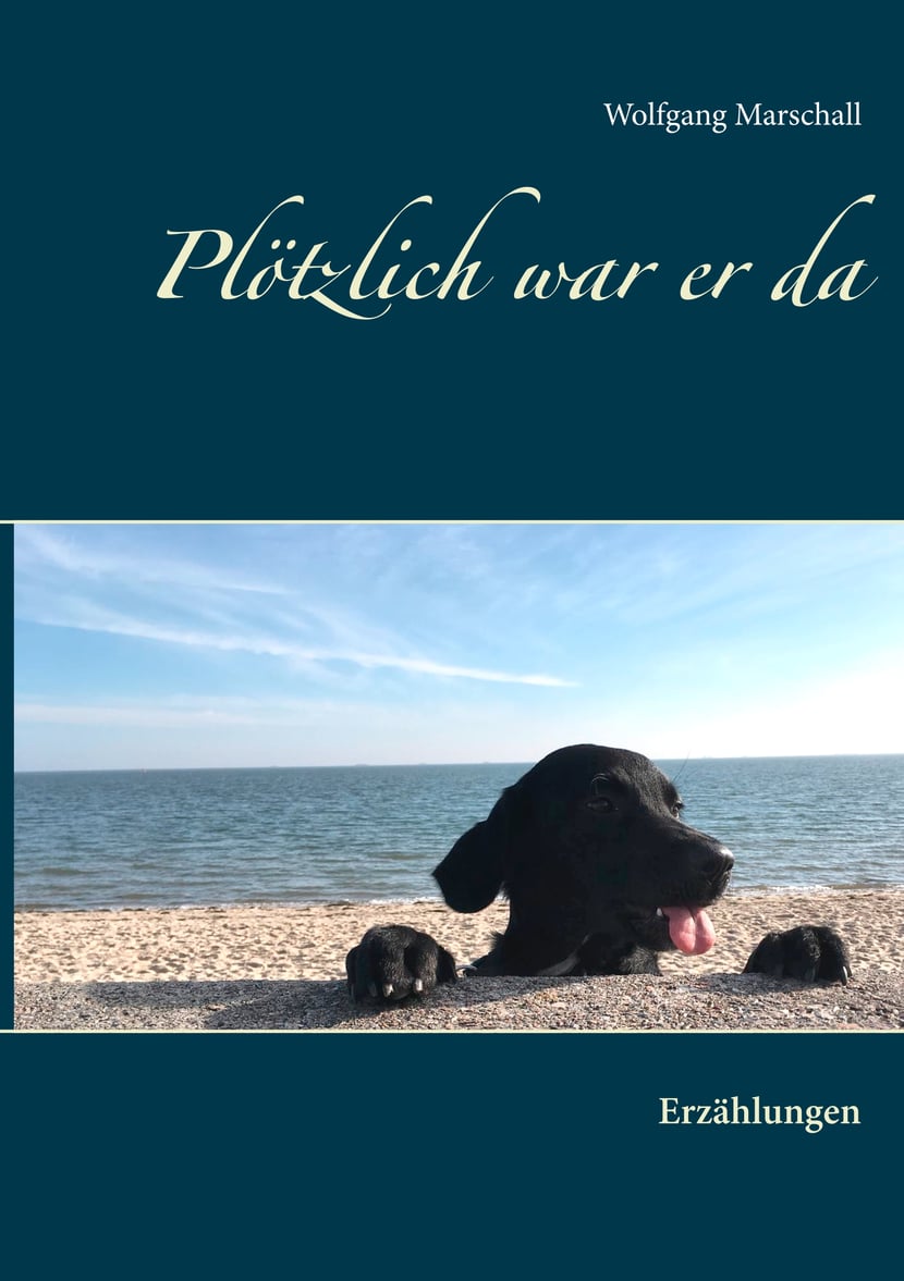 media/pim/81_metadata-image-70980364.jpeg