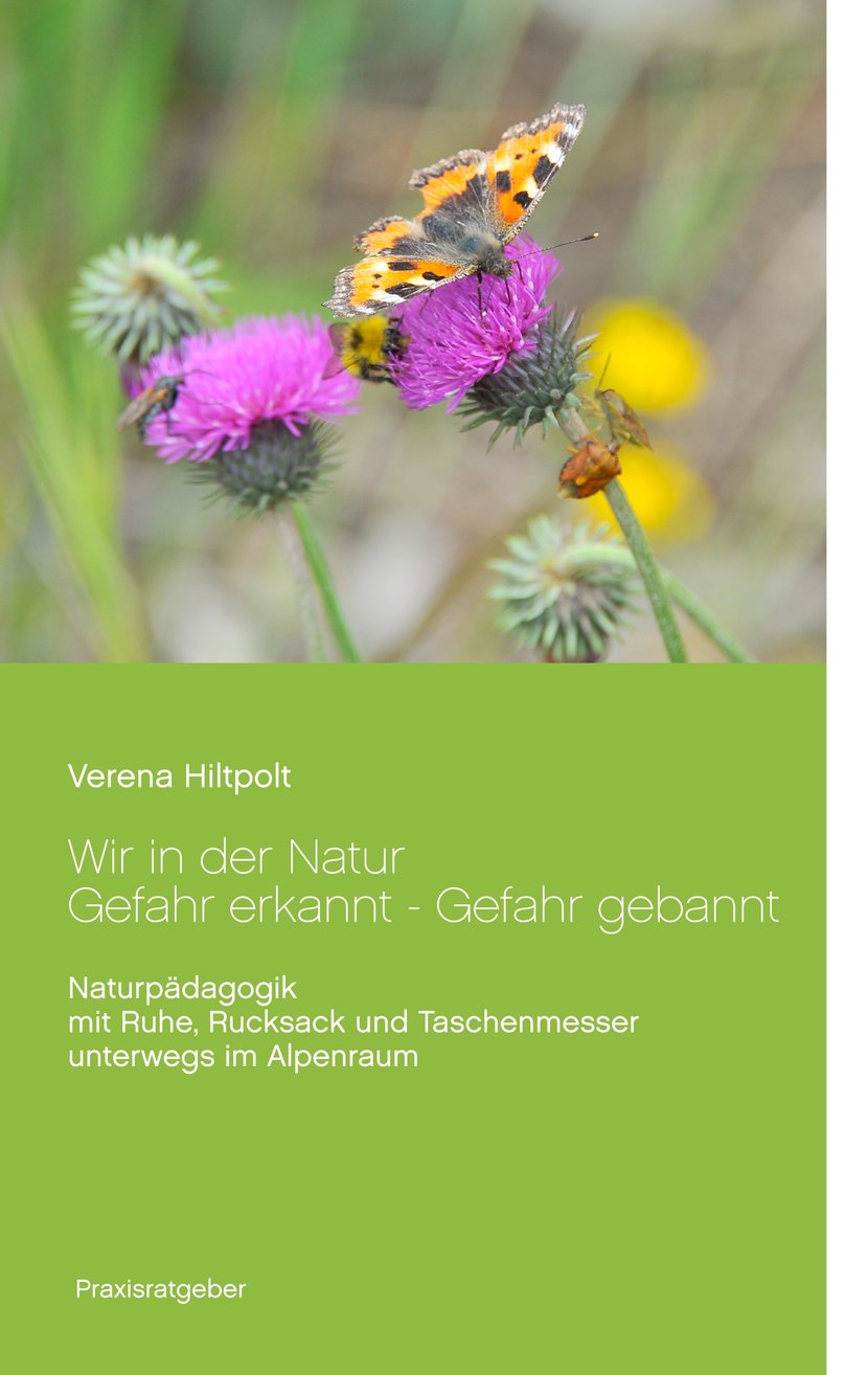 media/pim/81_metadata-image-70981790.jpeg