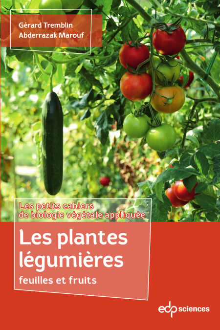 media/pim/82_870bd53e-d153-4bc8-a152-1af069aa2773.jpeg