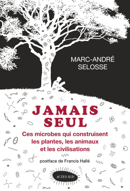 media/pim/82_baeb0ec0-61db-4560-9e6d-fa393f9c25cf.jpeg