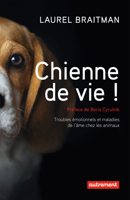 media/pim/82_bc9c8b33-0511-4bb8-8cd8-22bc61d08841.jpeg