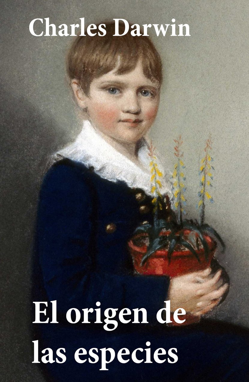 media/pim/82_metadata-image-66642025.jpeg