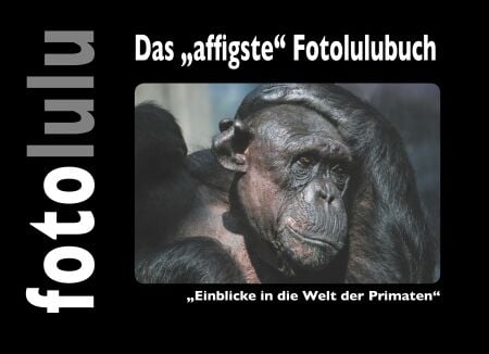 media/pim/82_metadata-image-70982534.jpeg