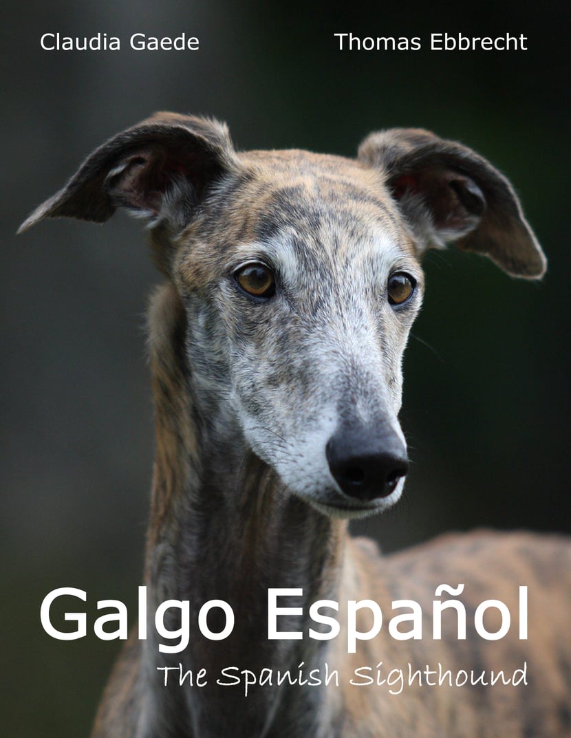 media/pim/83_metadata-image-70963720.jpeg