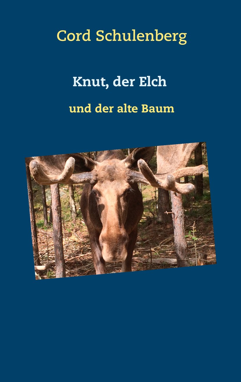 media/pim/83_metadata-image-70967571.jpeg