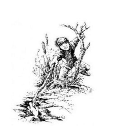 media/pim/84_metadata-image-55170943.jpeg