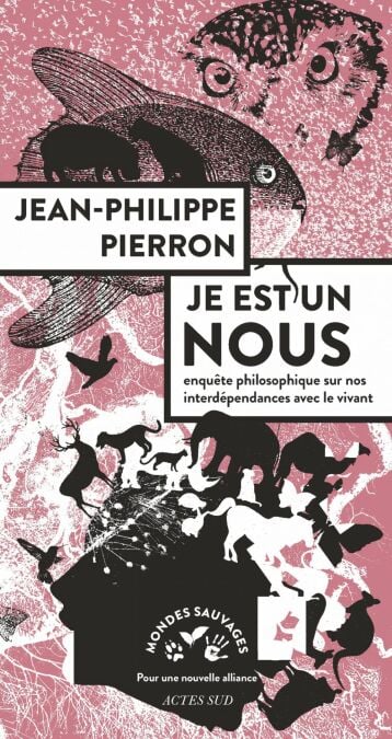 media/pim/8_33bce47a-5d95-4bd4-a6a4-02e0e2863403.jpeg