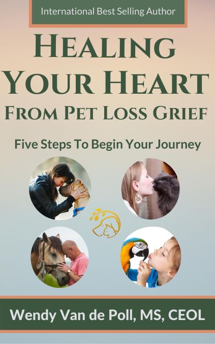 media/pim/8_5d79bd6b-d34a-475f-b593-69bc4ef473da.jpeg