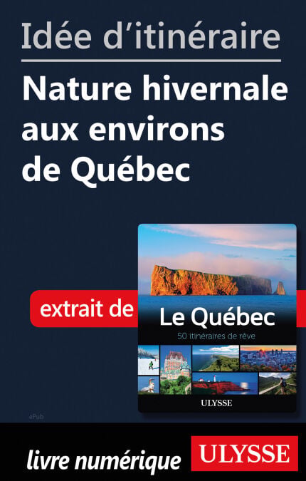 media/pim/8_682de688-d80f-4e39-9562-37c4b604e874.jpeg