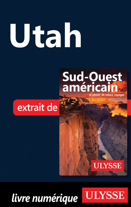 media/pim/8_d41806e6-858a-4dd9-9457-2aba923426ea.jpeg