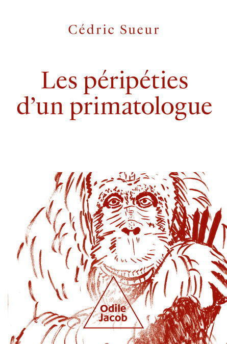 media/pim/8_d9555588-e83c-4a57-9129-73d79ce37ac1.jpeg